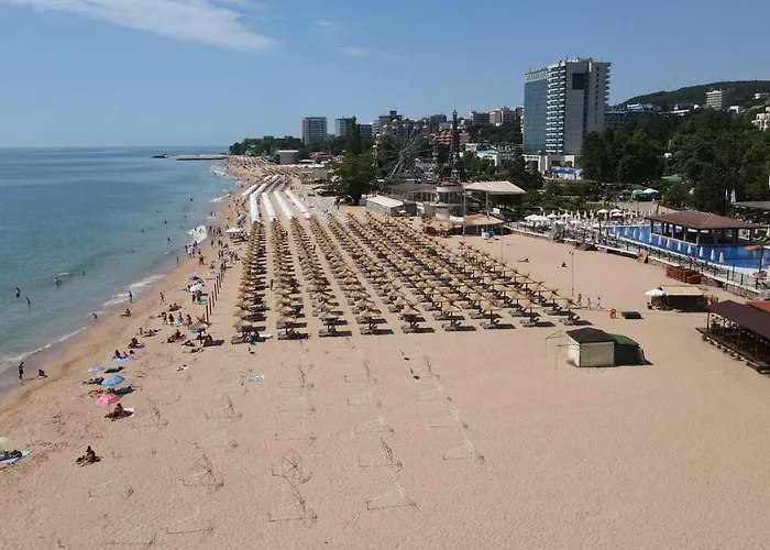 Fs - Modern Sea-view - First Line * Sables d'or